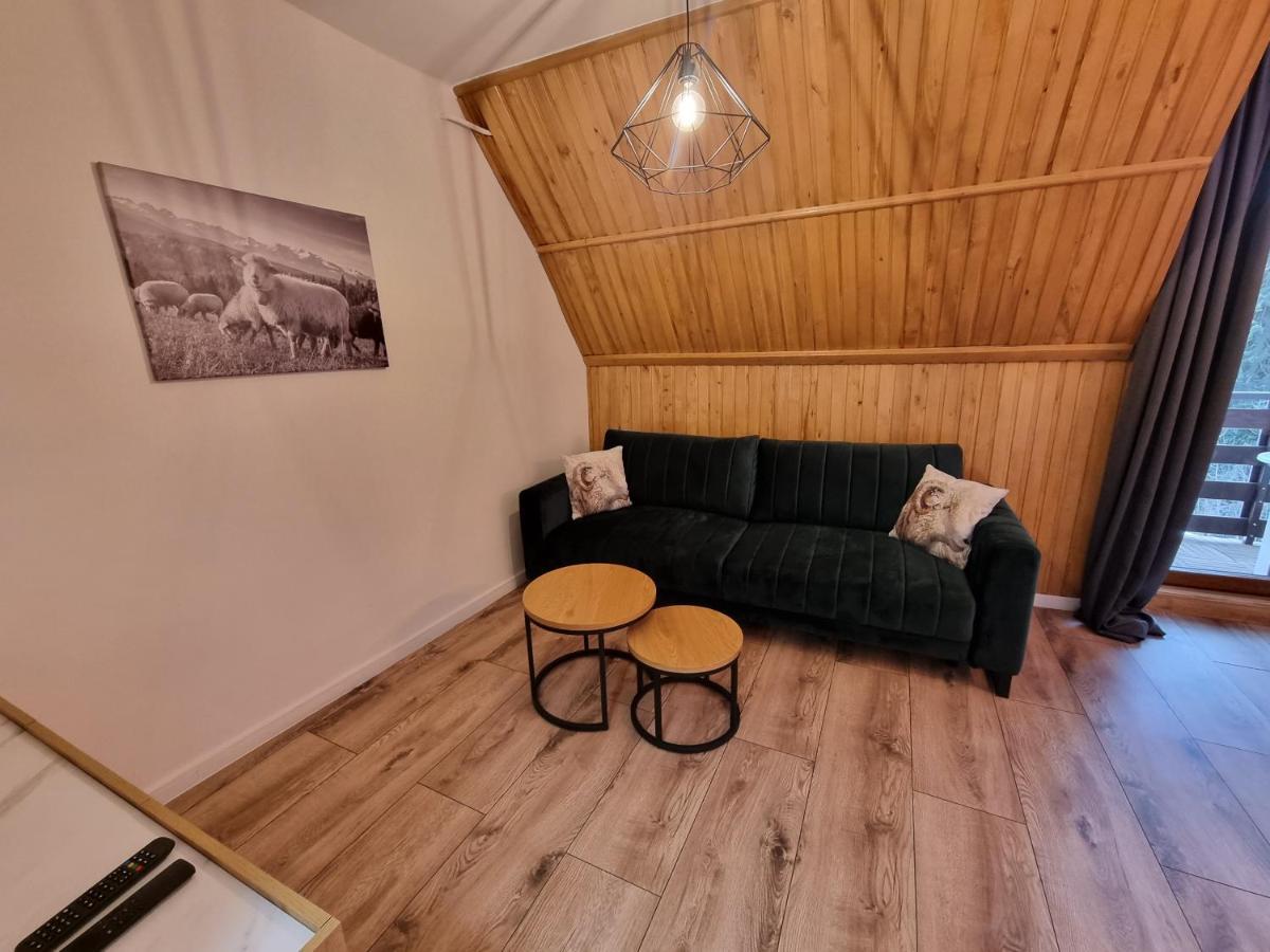 Apartament Klasyczny Z Widokiem Na Giewont Kościelisko Exteriör bild