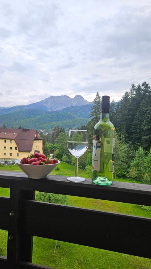 Apartament Klasyczny Z Widokiem Na Giewont Kościelisko Exteriör bild